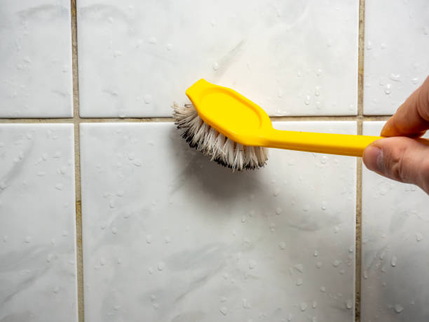  Spring Hope, NC Mold Removal Pros