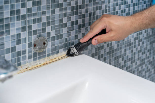Best Same-Day Mold Removal  in Spring Hope, NC