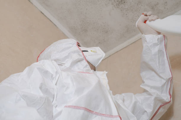Spring Hope, NC Mold Removal Company