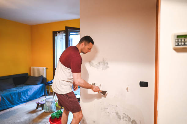 Certified Mold Removal in Spring Hope, NC