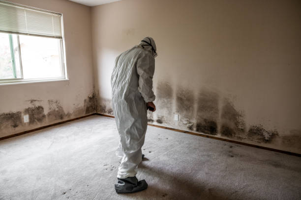 Best Mold Testing  in Spring Hope, NC