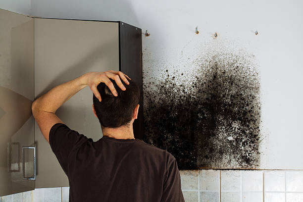 Best Home Mold Removal  in Spring Hope, NC